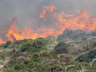 Εξακόσια στρέμματα κάηκαν στη Σκύρο